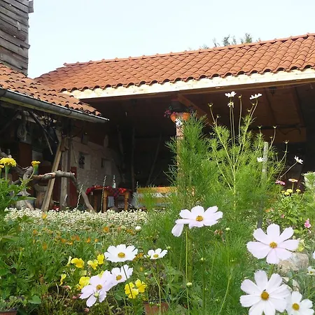 Guest house Mitinkovata House